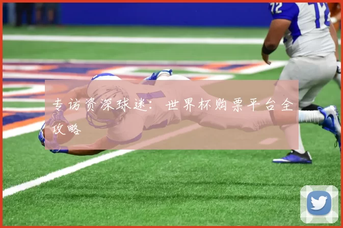 专访资深球迷:世界杯购票平台全攻略