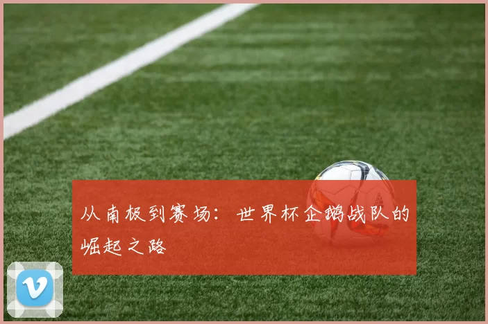 从南极到赛场：世界杯企鹅战队的崛起之路