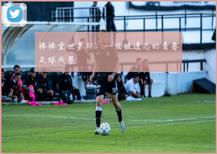 棒棒堂世界杯：一场被遗忘的青春足球风暴