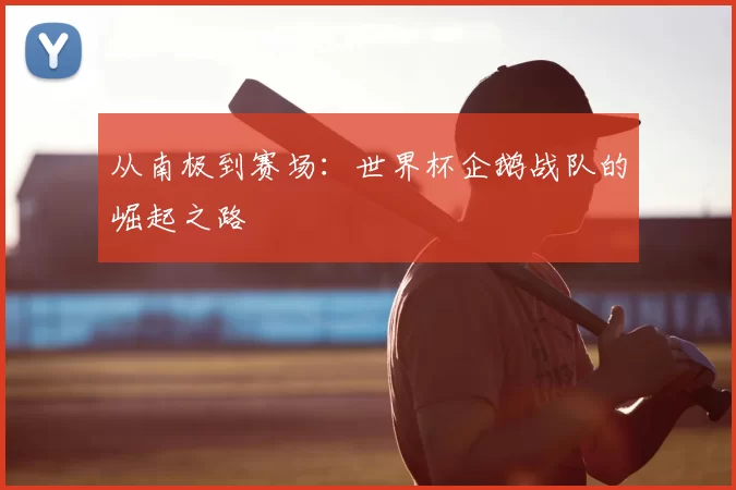 从南极到赛场：世界杯企鹅战队的崛起之路