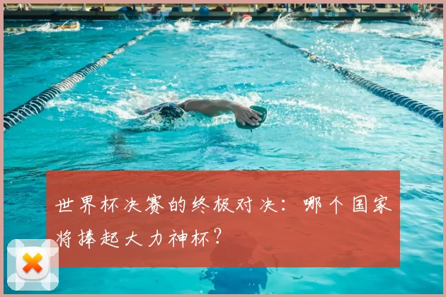 世界杯决赛的终极对决:哪个国家将捧起大力神杯?