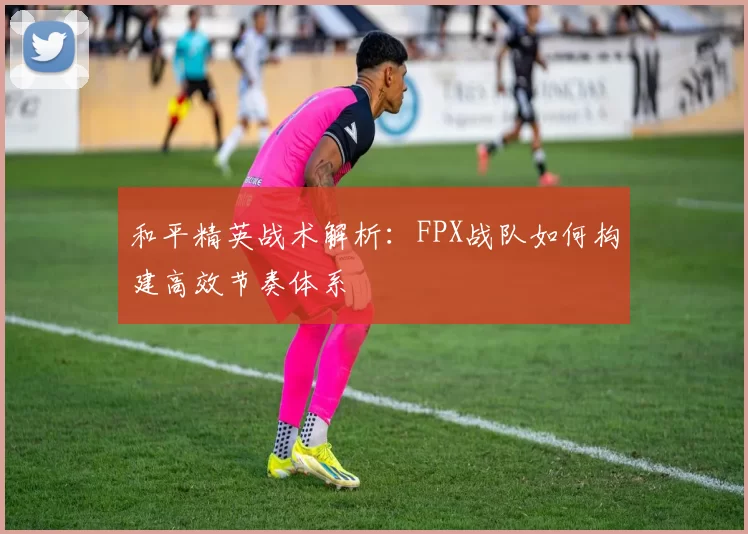 和平精英战术解析：FPX战队如何构建高效节奏体系