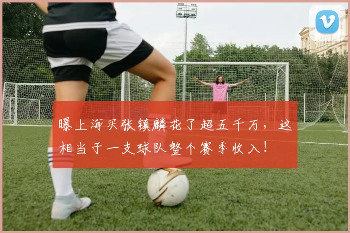 曝上海买张镇麟花了超五千万,这相当于一支球队整个赛季收入!